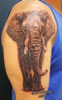 022-tiere- tattoo-hamburg-skinworxx